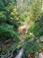 819 North Fork Rd - Photo 2