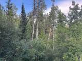 819 North Fork Rd - Photo 5