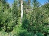 819 North Fork Rd - Photo 6