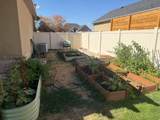 1173 2175 - Photo 43