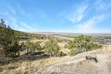 1125 Sheep Ln - Photo 36