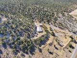 1125 Sheep Ln - Photo 43