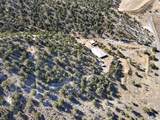 1125 Sheep Ln - Photo 44