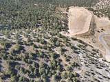 1125 Sheep Ln - Photo 45