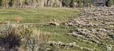 1489 Old Mill Rd - Photo 40