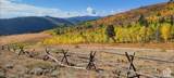 1489 Old Mill Rd - Photo 44