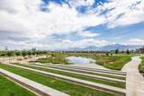 11184 Easy Bee Rd - Photo 49