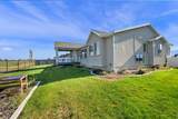 2431 Hooded Crane Cir - Photo 12