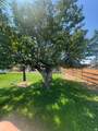 118 Shuman St - Photo 18