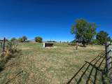 5593 6300 - Photo 12