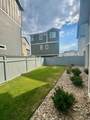 3853 Red Clover Dr - Photo 14