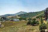 2303 Deer Hollow Rd - Photo 20