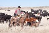 2750 Ut-66 Hwy - Photo 15