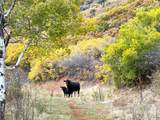 2750 Ut-66 Hwy - Photo 18
