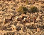2750 Ut-66 Hwy - Photo 33