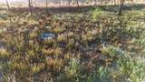 7250 Hanley Ln - Photo 34