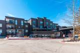 909 Peace Tree Trl - Photo 23