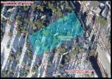 395 Upper Evergreen Dr - Photo 3