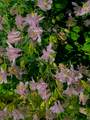 4213 2850 - Photo 36