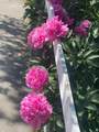 4213 2850 - Photo 38