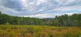 22126 Elk Meadow Dr - Photo 13