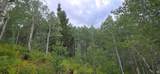 22126 Elk Meadow Dr - Photo 15