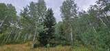 22126 Elk Meadow Dr - Photo 9