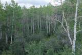 22126 Elk Meadow Dr - Photo 10