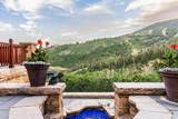 17 White Pine Canyon Rd - Photo 43