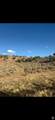 13051 Red Canyon Rd - Photo 3