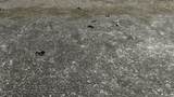 111 Hwy 111 /Sheeps Ln - Photo 16