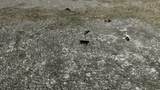 111 Hwy 111 /Sheeps Ln - Photo 17
