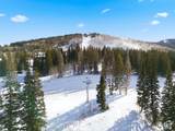 207 White Pine Canyon Rd - Photo 23