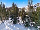 207 White Pine Canyon Rd - Photo 26