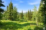 207 White Pine Canyon Rd - Photo 37