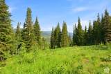 207 White Pine Canyon Rd - Photo 39