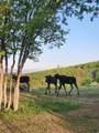 11360 Skyline Dr - Photo 22