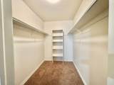 848 Bristle Pine Pl - Photo 11