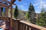 3238 Big Spruce Way - Photo 54