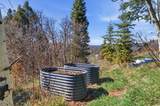 3238 Big Spruce Way - Photo 55