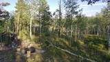 1239 Deer Ln - Photo 3