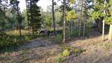 1239 Deer Ln - Photo 24