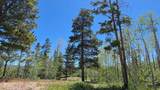 1239 Deer Ln - Photo 7