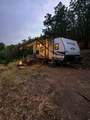 123 Spring Hollow - Photo 6