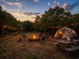 123 Spring Hollow - Photo 7