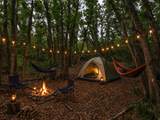 123 Spring Hollow - Photo 8