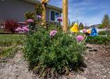 2315 Dugway Dr - Photo 81
