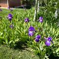 308 2050 - Photo 50