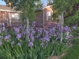 308 2050 - Photo 51