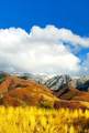 2564 2600 - Photo 19